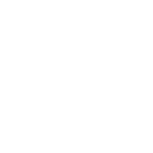 Restaurant Braunwirt Sarnthein Logo